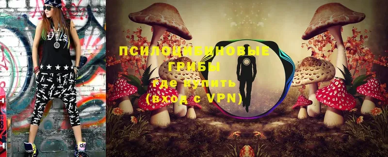 Псилоцибиновые грибы Psilocybe  Армавир 